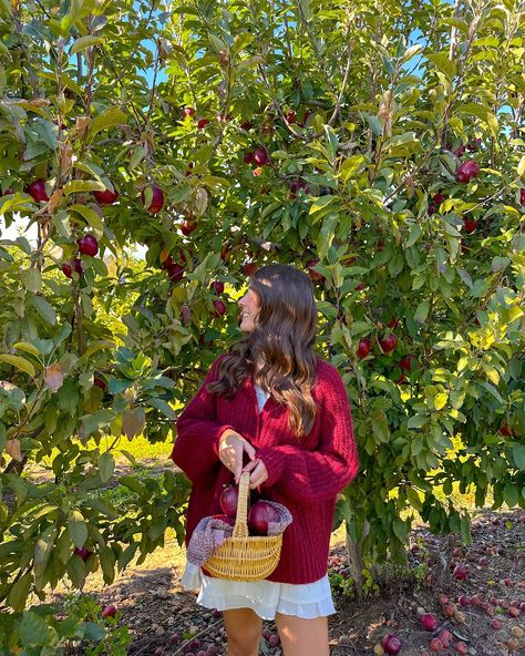 the apple to my pie🍎🧺🍁🤎 #fallaesthetic #fallvibes #falloutfit #falloutfits #fallfashion #fallseason #fallstyle #applepicking #appleorchard Fall Photo Inspiration, Apple Girl Aesthetic, Apple Orchard Outfit Fall, Apple Photoshoot, Apple Picking Photoshoot, Downtown Clothes, Fall Pic Ideas, Outfits September, Ugg Season