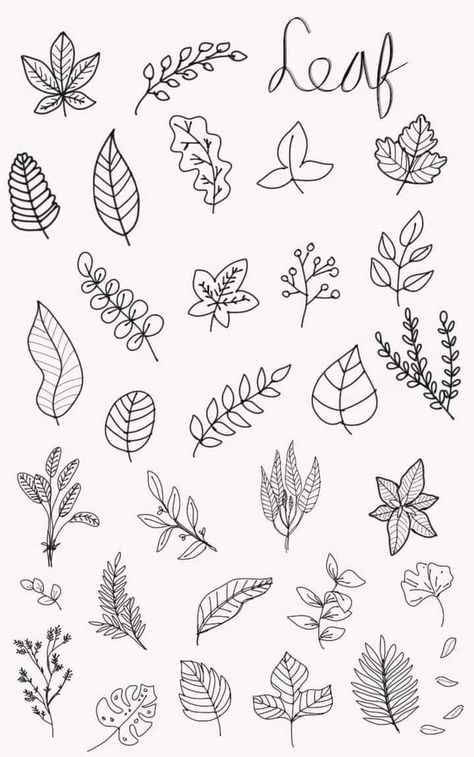 Small Leaves Drawing, Leaves Doodle Art, Nature Doodles Simple, Simple Botanical Drawings, Leaf Doodle Art, Simple Leaf Drawing, Drawings Of Leaves, Doodle Leaf, Small Flower Drawings