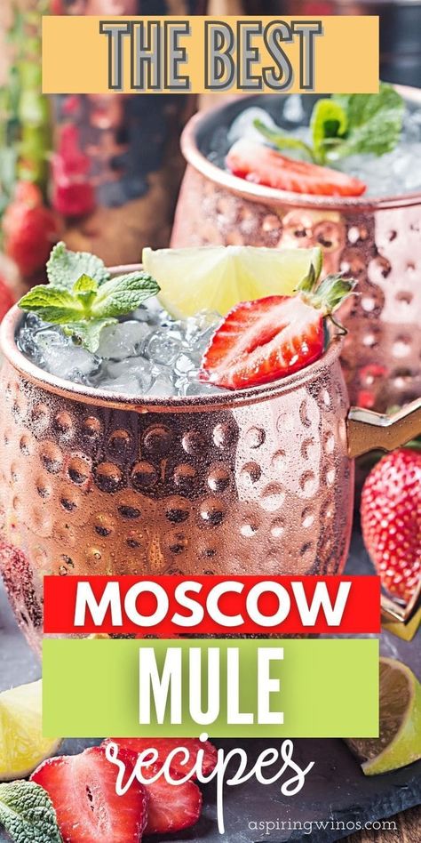 Different Moscow Mule Recipes, Moscow Mule Flavors, Different Mule Drinks, Summer Moscow Mule, Flavored Mules Cocktail Recipes, Pineapple Moscow Mule Recipe, Flavored Moscow Mule Recipe, Vodka Mule Recipe, Mule Drink Recipes