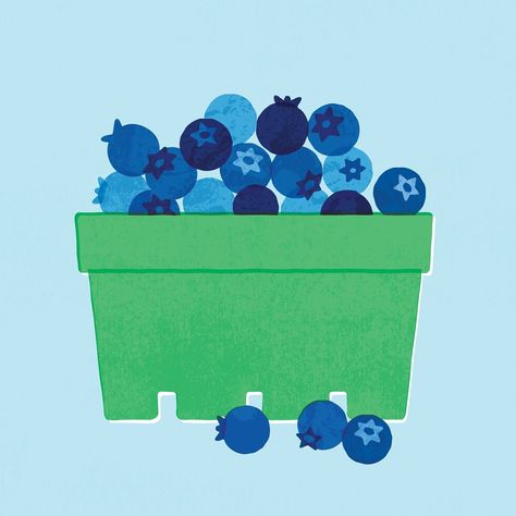 Rebecca Hollingsworth (@rh_illustration) • Instagram-foto's en -video's Blueberries Illustration, Blueberries Drawing, Salad Illustration, Blueberry Illustration, Foodie Illustration, Raspberry Beret, Food Drawing, Instagram Food, Illustration Inspiration