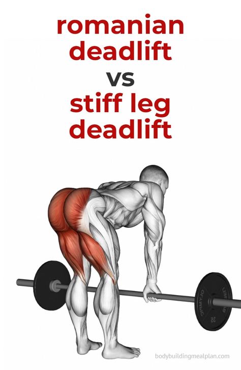 At Home Deadlift Workout, Romanian Deadlift Vs Stiff Leg Deadlift, Deadlifts For Back, Dumbbell Stiff Leg Deadlift, Stiff Legged Deadlift, Stiff Leg Deadlift How To Do, Stiff Legs Exercise, Proper Deadlift Form, Rdl Vs Deadlift