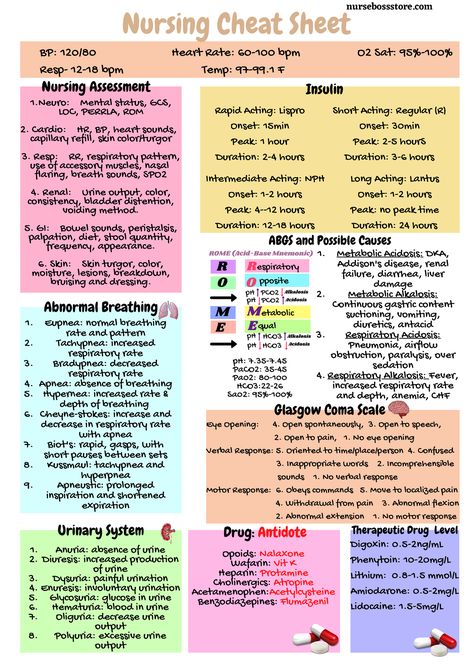 3. Nursing Cheat Sheet - Eupnea: normal breathing rate and pattern Tachypnea: increased respiratory - Studocu Nursing Iv Fluids Cheat Sheets, Nursing Mnemonics Fundamentals, Nursing Abbreviations Cheat Sheets, Nursing Diagnosis Cheat Sheet, Emergency Nursing Cheat Sheet, Breath Sounds Nursing, Nursing School Mnemonics, Lpn Notes Cheat Sheets, Pathophysiology Nursing Study Guides Respiratory