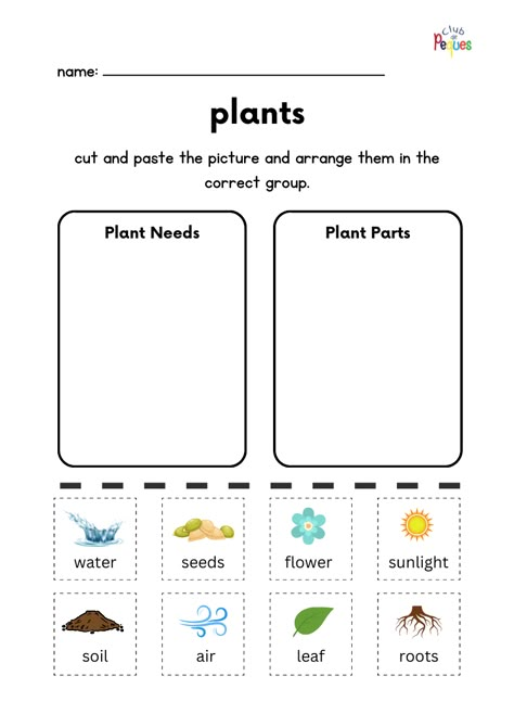 Plant Life Cycle Worksheet 3rd Grade, Plants Habitat Worksheet, Plants Worksheets For Grade 1, Plants Worksheets For Kids, Plant Needs Worksheet, Feelings Activities Preschool, Life Cycle Worksheet, Plant Life Cycle Worksheet, Plant Biology