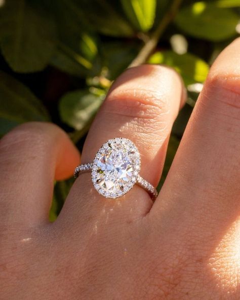 Oval Cut Engagement Ring Halo, Wedding Band For Oval Rings, Oval Halo Engagement Ring And Band, Oval Ring With Halo, Oval Engagement Ring With Halo, Oval Engagement Ring Halo, Oval Diamond Rings, Engagement Ring Oval Halo, Halo Oval Ring