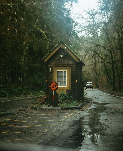 Pacific Northwest Town, Pnw Gothic, Contemplative Art, Pacific Northwest Aesthetic, Rain Aesthetics, Autumn Town, Pnw Aesthetic, Pnw Travel, Haunted Trail