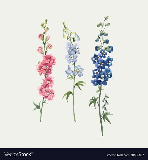 Delphinium Tattoo, Larkspur Tattoo, Delphinium Flower, Sunflower Illustration, Delphinium Flowers, Wildflower Tattoo, Blue Delphinium, Flower Line Drawings, Garden Theme Wedding