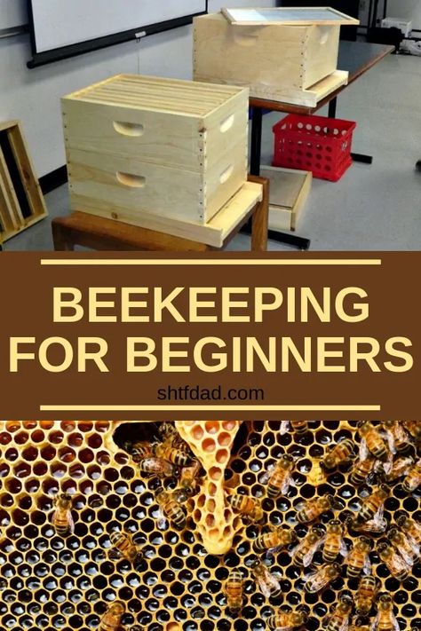 How To Start Beekeeping For Beginners - SHTF DAD Bee Keeping For Beginners, How To Start Beekeeping, Bee Hive Plans, Backyard Bee, Beekeeping For Beginners, Raising Bees, Backyard Beekeeping, Bee Farm, A Safe Place