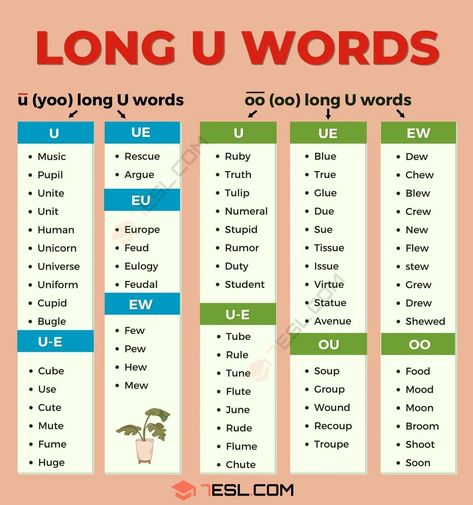 Long U Words Long U Vowel, Long U Words, Misused Words, Long Vowel Words, Grade Three, Sight Word Sentences, Study English Language, Phonics Rules, Study English