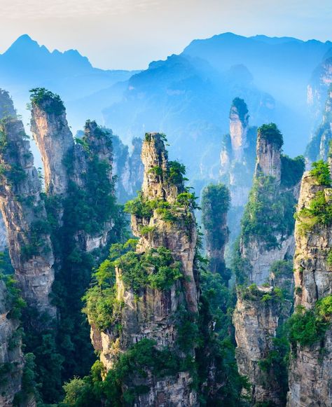 🏞️ #ZhangjiajieLandscape 🏔️ Landscape of Zhangjiajie, taken from Old House Field. Located in Wulingyuan Scenic Area, a UNESCO World Heritage Site and AAAAA scenic area in China. Would you hike through these surreal rock formations? China City, Zhangjiajie, Rock Formations, Unesco World Heritage Site, Unesco World Heritage, Heritage Site, World Heritage, Old House, Surrealism