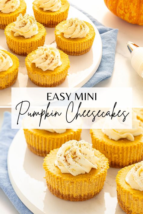 Mini Cheesecakes For Fall, Pumpkin Cheesecakes Mini, Halloween Desserts Cheesecake, Mini Pumpkin Cheesecake Recipes Easy, Mini Pumpkin Cheesecake Nilla Wafer, Mini Birthday Cheesecakes, Pumpkin Pie Mini Cheesecakes, Mini Pumpkin Cheesecake Pies, Mini Cheesecakes Pumpkin