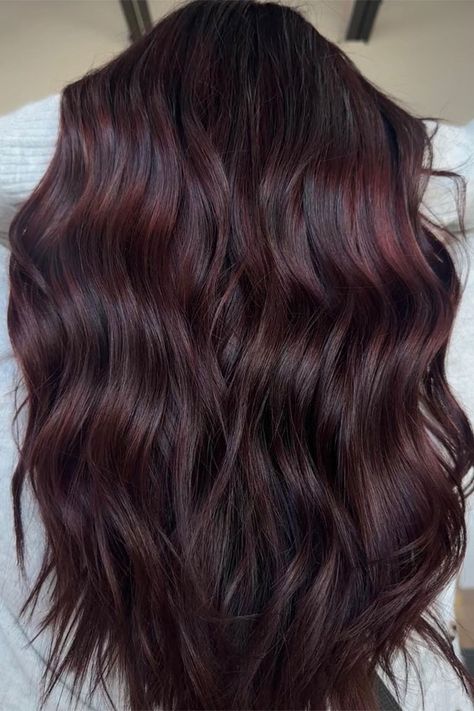 Raspberry Brunette Hair, Dark Hair Color Ideas Red Tint, Cola Red Hair Highlights, Dark Hair Color Ideas With Red, Dark Brown With Hint Of Red, Hair Colour Red Brown, Chocolate Cola Hair, Dark Brown Maroon Hair, Dark Red Chocolate Hair