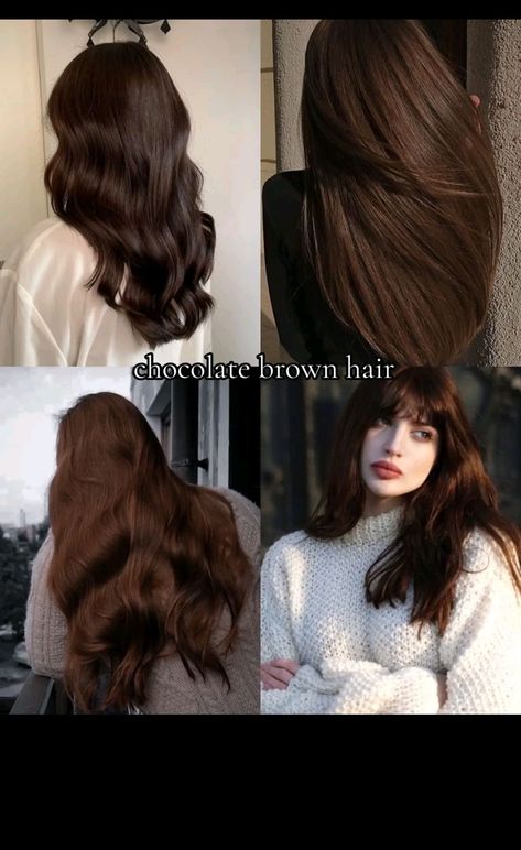 #SimpleHairStyleGirl #ShineAndSleekHairstyleWomenA #ShineAndSleekHairstyleWomanBun #ShineAndSleekHairstyleWomanBob #ShineAndSleekHairstyleWomenC #ShineAndSleekHairstyleWomenD #ShineAndSleekHairstyleWomanEasy #ShineAndSleekHairstyleWomanForYou #ShineAndSleekHairstyleWomanGirlSimple #ShineAndSleekHairstyleWomanGirl #ShineAndSleekHairstyleWomenH #ShineAndSleekHairstyleWomanImage #ShineAndSleekHairstyleWomanJustForYou #ShineAndSleekHairstyleWomanJuda #ShineAndSleekHairstyleWomenK #ShineAndSleekHairs Light Brown Hair On Black Hair, Cocoa Hair Color Brunettes, Brown Hair Color With Dimension, Brown Hair For Older Women, Chocolate Brown Hair Aesthetic, Cool Toned Dark Brown Hair Pale Skin, Hair Color Brown Chocolate, Milk Brown Hair Color, Cocoa Brown Hair Color