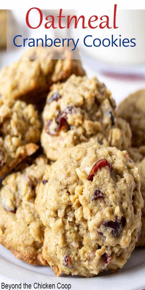 Cranberry Orange Oatmeal Cookies, Orange Oatmeal Cookies, Cranberry Orange Oatmeal, Cranberry Treats, Cranberry Cookie, Orange Oatmeal, Cranberry Oatmeal Cookies, Cranberry Cookies Recipes, Cookie Holiday