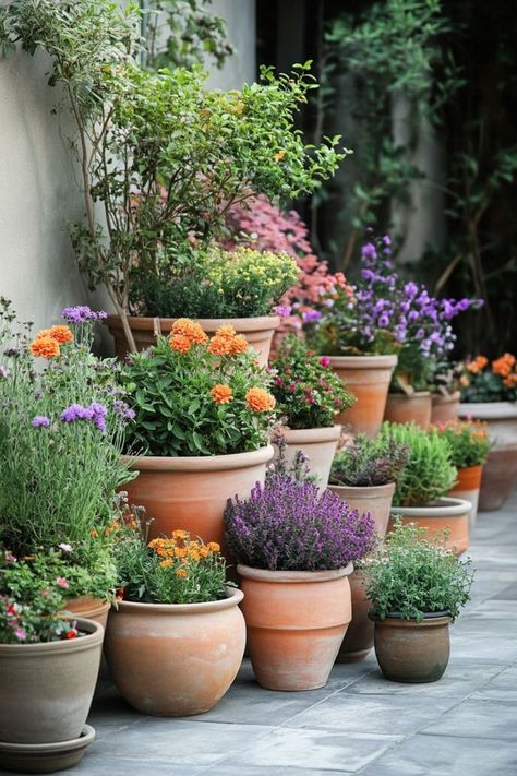 Innovative Container Garden Designs are a versatile and sustainable choice for any gardener! 🌿🪴 Experiment with creative combinations of plants in unique containers, transforming small spaces into lush gardens. Easy to arrange and bursting with innovation, these designs are perfect for patios, balconies, and urban gardens. Start your container garden journey today! 🌸🌿 #ContainerGardening #SustainableLiving #GardenIdeas #CreativeGardening Vege Garden Ideas, Urban Gardens, Small Courtyard Gardens, Container Garden Design, Small Patio Garden, Front Garden Design, Cottage Garden Design, Culture Magazine, Garden Containers