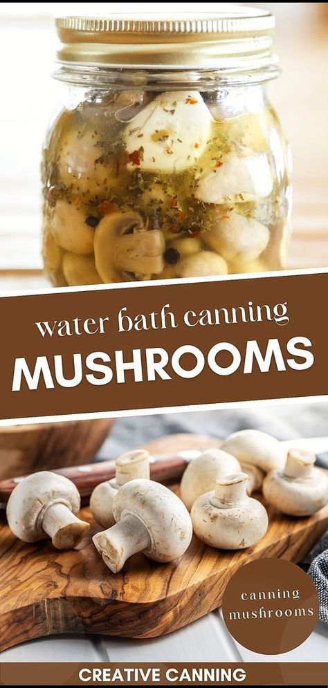 Master the art of water bath canning mushrooms, a versatile skill in canning mushrooms. Learn how to preserve zesty marinated mushrooms that are perfect straight from the jar or as an addition to charcuterie plates and salads. Made with white wine vinegar, olive oil, garlic, and herbs, these mushrooms are a delightful treat. Explore more water bath canning for beginners, canning food preservation, and canning vegetables recipes at creativecanning.com How To Preserve Mushrooms, How To Pickle Mushrooms, Canning Mushrooms Hot Water Bath, Hot Water Canning Bath, Canning Marinated Mushrooms, Canning Mushrooms Recipes, Water Bath Recipes, Beginner Canning Recipes, Pickling Mushrooms