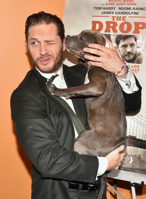 توم هاردي, Tom Hardy Dog, Tom Hardy Photos, Thomas Hardy, Mad Max, Tom Hardy, Official Trailer, The Villain, Best Actor