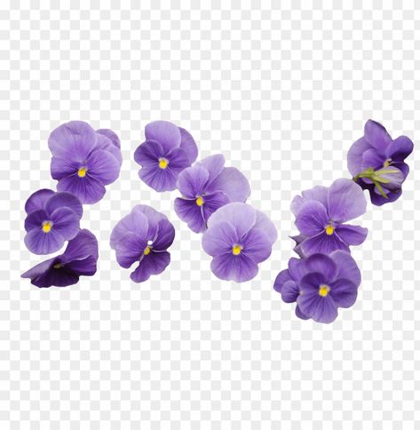 Transparent Images Png, Flowers Without Background, Cute Transparent Png, Flower Png Transparent Background, Flower Transparent Background, Purple Elements, Free Flower Clipart, Tumblr Flower, Flower Bouquet Png