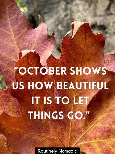 100 Short October Quotes for Instagram to Say Hello and Welcome to Fall - Routinely Shares October 2nd Quotes, First Of October Quotes, October Is Here Quotes, 1st October Quotes, October Month Quotes, October Quotes Inspirational, Welcome October Quotes, 1 October Quotes, October Sayings