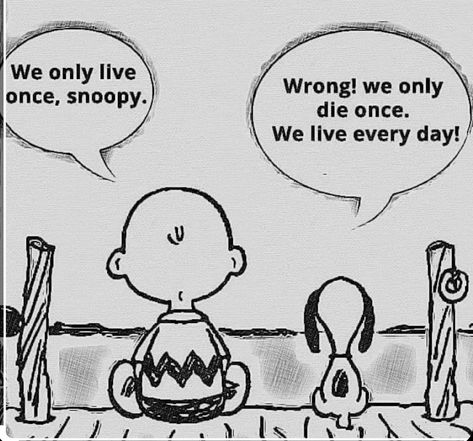 The Peanuts Aesthetic, Snoopy Quotes Funny, Peanut Quotes, Peanuts Snoopy Quotes, Snoopy Aesthetic, Ernie Und Bert, Peanuts Quotes, Snoopy Comics, Snoopy Cartoon