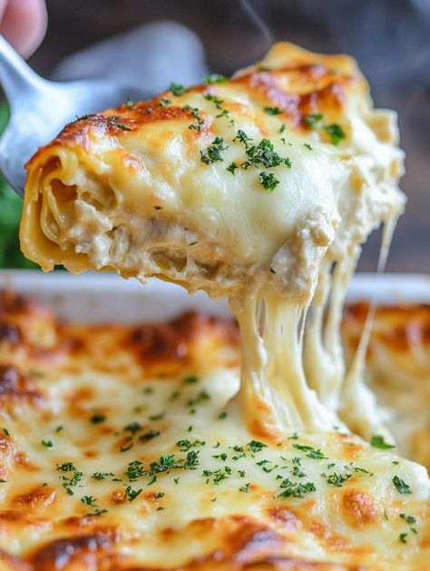 Creamy Chicken Lasagna Chicken Ravioli Lasagna, Chicken Fettuccine Lasagna, Chicken Florentine Lasagna, Award Winning Casseroles, Creamy Chicken Lasagna Recipe, Rotisserie Chicken Lasagna Recipes, Marry Me Chicken Lasagna, Dinner For 7 People, Shredded Chicken Lasagna