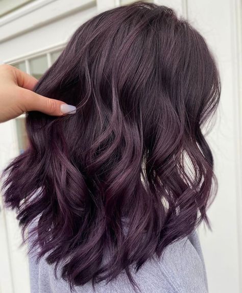 Fall Violet Hair Color, Dark Grape Hair Color, Grape Hair Color Dark Purple, Hint Of Purple Hair, Dark Lavender Hair Color, Dark Brown Hair With Plum Highlights, Grape Color Hair, Violet Hair Short, Grape Violet Hair Color