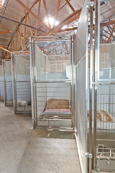 Dog Kennel Office Ideas, Dog Kennel Facility, Dog Shelter Ideas, Dog Boarding Kennels Designs, Dog Shelter Aesthetic, Dog Kennel Room, Boarding Kennel Ideas, Dog Boarding Facility Ideas, Dog Rescue Facility Kennel Ideas