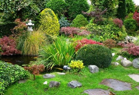 12 Traditional Japanese Garden Plants & Flowers - Gardening Chores Zen Garden Plants, Japanese Garden Plants, Japanese Plants, Small Japanese Garden, Japanese Garden Landscape, Japanese Zen Garden, Japanese Garden Design, Asian Garden, Raised Beds