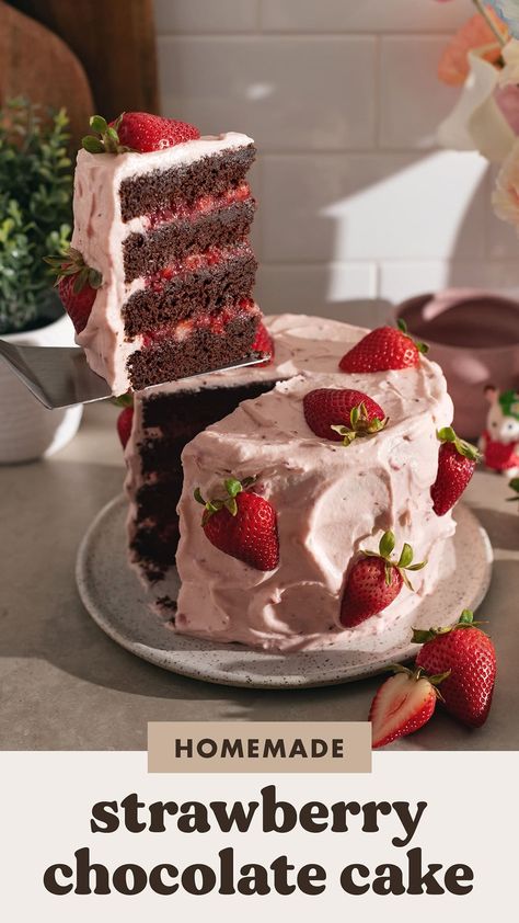 Chocolate Cake Topped With Strawberries, Chocolate Cake With Strawberry Cream Cheese Filling, Strawberries And Cream Cake Filling, How To Decorate A Cake With Strawberries, Easy Chocolate Strawberry Cake, Chocolate Cake Strawberry Filling, Dark Chocolate Strawberry Cake, Strawberry Chocolate Cake Recipe, Summer Chocolate Cake