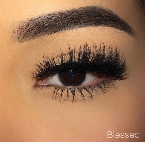 Faux Mink Collection – Tatalashes Natural Fake Eyelashes, Best Lash Extensions, Lashes Fake Eyelashes, Latina Makeup, Makeup Images, Perfect Eyelashes, Pretty Lashes, Trophy Hunting, Birthday Makeup