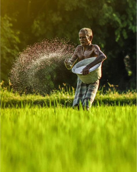 Farmers don't just work till the sun goes down, They work till the job gets done. This Amazing Shot is taken by @ansrdeen Visit us at www.wallmag.io for more details. WallMag - Where Photos Meet Stories 💛 #photography #photographer #farmer #farm Indian Agriculture Photos, Indian Farmers Images, Farmers Photography Indian, Agriculture Photography Farmers, Indian Nature Photography, Farmer Pic, Farmer Background, Farmer Image, Farming Photo