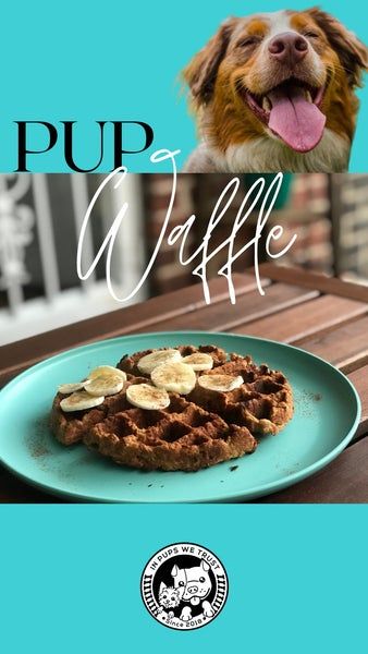 Dog Waffle Recipe – In Pups We Trust Dog Waffle Treats, Dog Waffles Recipes, Doggie Waffles, Dog Waffles, Dog Meals, Door Shutters, Dog Cake Recipes, Waffle Bowl, Easy Dog Treat Recipes