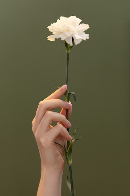 Hand Holding Something, Hand Holding Rose, Life Drawing Pose, Hands Holding Flowers, Human Painting, Idee Cricut, Flower Model, Body Art Photography, Hand Drawing Reference