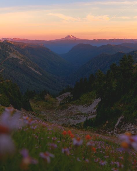 summer looks good on mount rainier national park ✨🏔️ Arden Core, Courtney Wilson, Nature Film, Mt Rainier National Park, North Cascades National Park, Mount Rainier National Park, Mt Rainier, Cascade Mountains, Rainier National Park