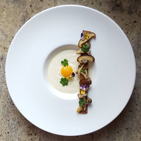 355 Likes, 16 Comments - Chai (@lvin1stbite) on Instagram: “Cauliflower soup, quail egg, shitaki & shimeji mushroom, wood sorrel and viola flower…” Mushroom Soup Plating, Shimeji Mushroom, Fancy Food Presentation, Wild Mushroom Soup, Food Plating Techniques, Plated Dessert, Viola Flower, Wood Sorrel, Fine Dining Recipes