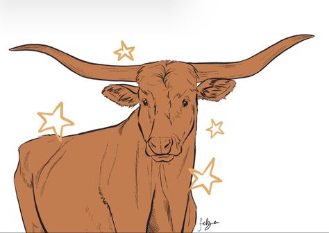 Longhorn Drawing, Drawings, Art