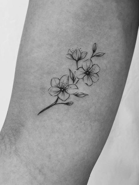 black and white cherry blossom tattoo on the right bicep Black Blossom Tattoo, Black And White Tattoos Flowers, Simplistic Cherry Blossom Tattoo, Cherry Blossom Tattoos Black And White, Cherry Blossom Branch Tattoo Black, Cheery Blossoms Tattoo Black And White, Black And White Ink Flower Tattoo, Shaded Cherry Blossom Tattoo, One Cherry Blossom Tattoo