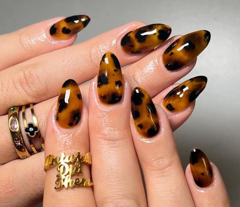 Almond Nails Tortoise, Tortoise Shell Nails Almond, Tortoise Nails, Nails September, Shell Nails, Classic Nail Art, Glossy Nails, Nails Korean, Classic Nail