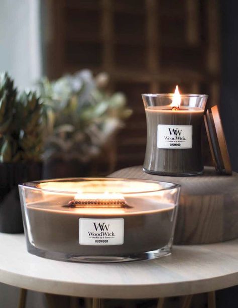 Woodwick Candle, Candle Obsession, Coloured Candles, Seasonal Candles, Aesthetic Candles, Candle Aesthetic, Wood Wick Candles, Candle Art, Jar Candles