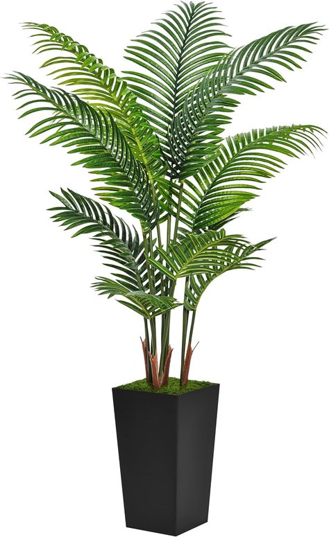 Artificial Palm Tree 5FT - Fake Tree with Black Tall Planter - Faux Tropical Areca Floor Plant in Pot - Artificial Silk Plant for Home Office Living Room Decor Indoor Silk Plants Living Room Home Decor, Artificial Trees Indoor Decor, Palm Tree In Pot, Fake Plants Decor Living Rooms, Fake Palm Trees Indoor, Artificial Areca Palm, High Quality Fake Plants, Artificial Bird Of Paradise Plant, Faux Tall Palm