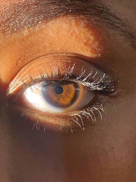 Dark Brown Eyes In Sunlight, Pretty Dark Brown Eyes, Pretty Eyes Brown, Bright Brown Eyes, Pics Of Eyes, Pretty Brown Eyes Aesthetic, Russet Brown Eyes, Dark Amber Eyes, Brown Eyes In The Sun