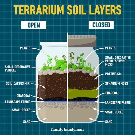 Creative Terrarium Ideas, Cemetarium Diy, Plants For Open Terrarium, Terrarium Plants Ideas, Whiskey Bottle Terrarium, How To Make A Terrarium In A Jar, Eco System In A Jar, Front Porch Ceiling Ideas, Terrarium For Beginners