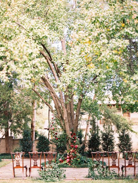 Tree Wedding Ceremony, Oak Tree Wedding, Berry Tones, Fall Wedding Color Palette, Giving Tree, Events Place, Ceremony Chairs, Wedding Backdrops, Beautiful Outdoor Wedding