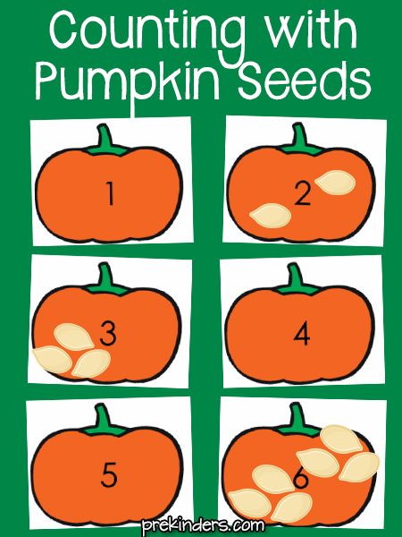 Counting with Pumpkin Seeds Pumpkin Positional Words, Pumpkin Cognitive Activities Preschool, Pumpkin Seed Counting Activity, Pumpkin Question Of The Day Preschool, Pumpkin Seed Activities For Preschool, Halloween Theme Activities, Pumpkin Seed Activities, Pumpkin Seed Counting, Pumpkin Lesson Plans