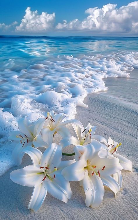 Prompt 👉Bouquet of white lilies lying on white sand washed by foamy turquoise surf wave, fantastic, photorealistic picture, tumblr, breathtaking beautiful white beach, detailed lily flowers, wonderful reflection of the sky, close-up!!!!!! Fantastic beautiful wallpaper on iPhone]r 👉 if Like, please Follow and Share AI Graphics Studio 👇Contact on WhatsAPP: http://tiny.cc/aigraphicsstudio #aigraphicsstudio #AI #DigitalMarketing #digitalartist #digitalart #digital #creativephotography #designin... Best Pictures For Wallpaper, Beach Flowers Wallpaper, Beautiful Ocean Wallpapers, Cute Pictures For Wallpapers, White Lilies Wallpaper, All White Wallpaper, Cute Whatsapp Wallpaper, Followers Wallpaper, Lily Flowers Wallpaper