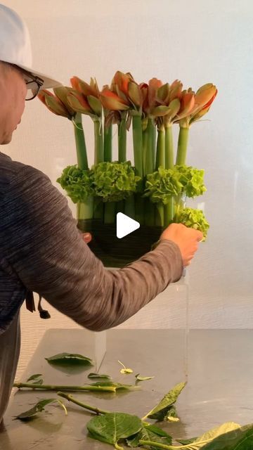 FLORAL DESIGN & WORKSHOP 🇺🇸🇵🇭 on Instagram: "Blooming Amaryllis ; Nature’s Majestic Symphony  . . . . #bloomingamaryllis #freshidea #arrangingtechniques #jun_pinon" Flower Vase Arrangements Decorations, Amaryllis Flower Arrangement, How To Do Flower Arrangements, Flower Arrangements Videos, How To Arrange Flowers In A Vase, Natural Flower Arrangements, Vase Decorating Ideas, Flower Vase Ideas, Amaryllis Arrangement