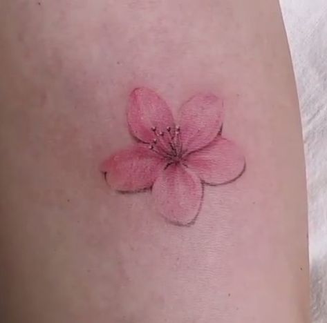 Peach Blossom Tattoo, Sakura Flower Tattoo, Eternal Tattoo, Sakura Tattoo, Creation Station, Blossom Tattoo, Sakura Flower, Peach Blossoms, Pretty Tattoos