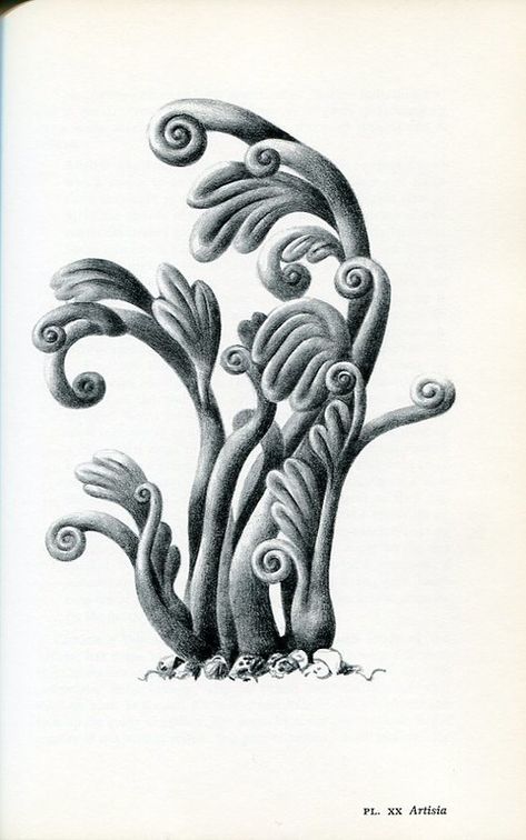 Leo Lionni, Invisible Cities, Love Illustration, Children's Picture Books, Stippling, Botany, Sculptor, Art Inspo, Trunk