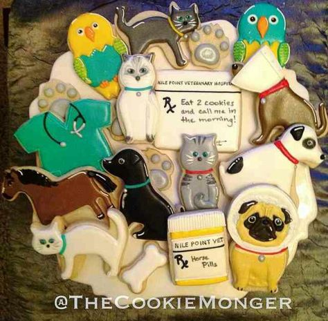 Veterinary Themed Cookies Vet Cake, Grad Food, Vet Life, College Goals, Decorative Cookies, Girly Birthday Party, Iced Biscuits, Tech Week, Vet School