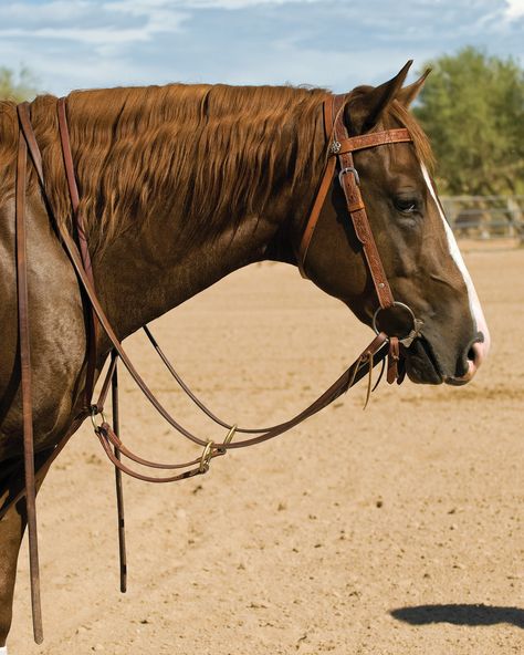 Working Cow Horse, Horse Reining, Equestrian Supplies, Bitless Bridle, Western Bridles, Horse Games, Horse Training Tips, Western Tack, Western Horse Tack