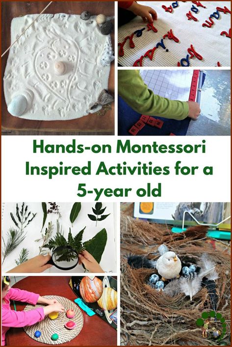 Hands-on Montessori Inspired Activities for a 5-year Old. Montessori Homeschool | Educational Activities | Montessori At Home | Montessori Nature Blog | DIY Activities for kids Nature Printables, Diy Montessori, Montessori Lessons, Practical Life Activities, Montessori Homeschool, Montessori Practical Life, Motor Development, Montessori Education, Montessori Classroom